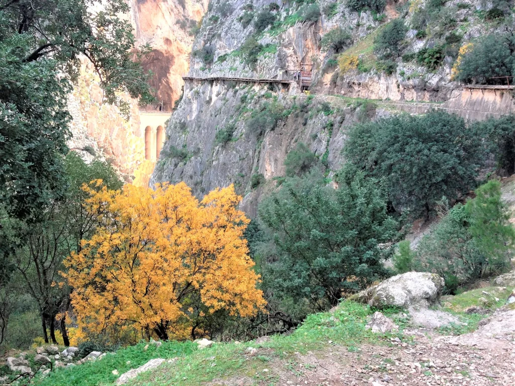 4 Río Guadalhorce