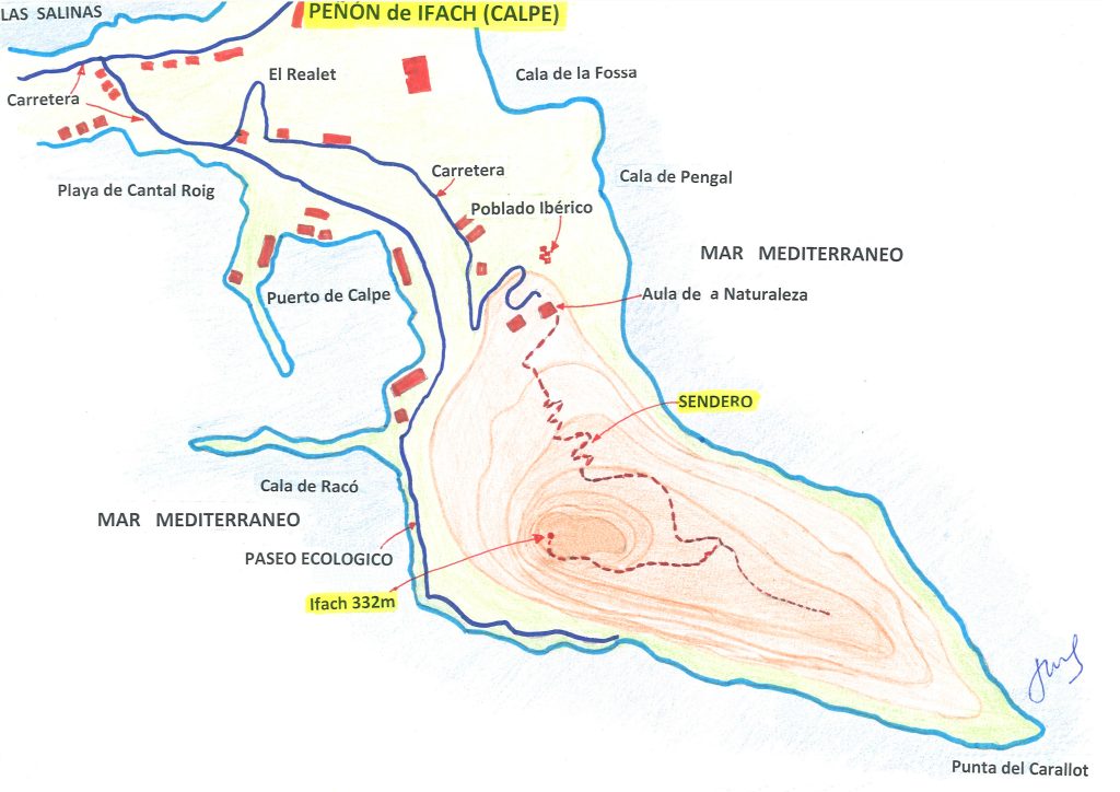 21 plaNo