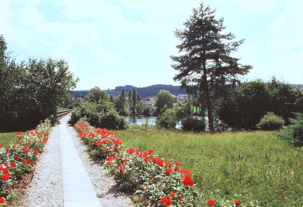 5 Stein-Schaffhausen-Cataratas-Suiza