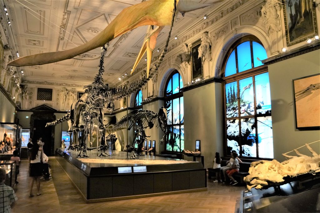 14 Huesos-Museo-Viena-Sustria