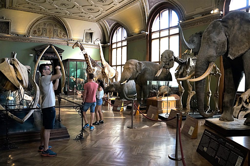 6 Museo Historia-Viena-Auystreia