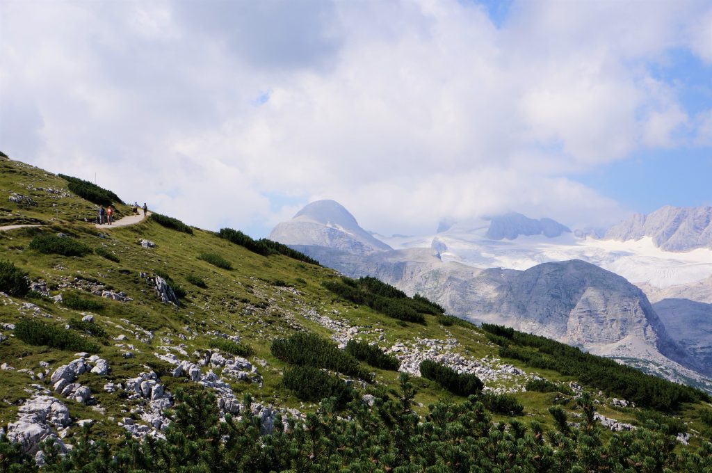 8 hacia 5Fingers-Austria